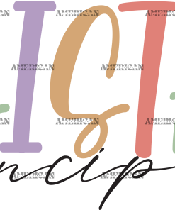 Assistant Principal-2 DTF Transfer