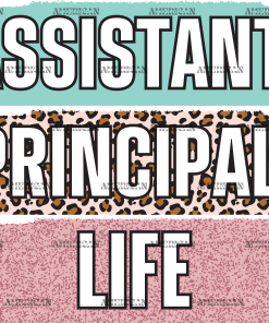 Assistant Principal Life DTF Transfer