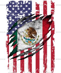 Mexican American Flag Dtf Transfer
