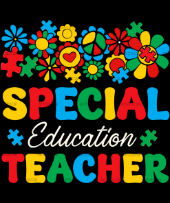 Special Education Teacher DTF Transfer