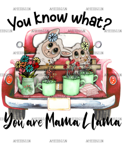 You Know What You Are Mama Llama DTF Transfer