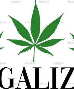 Legalized DTF Transfer