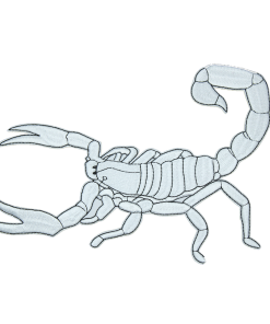 Scorpio Patch (Large/Embroidery)