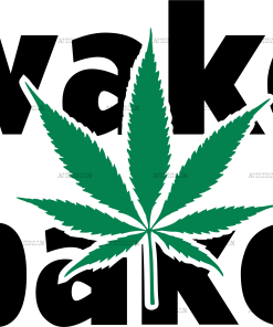 Wake and bake DTF Transfer