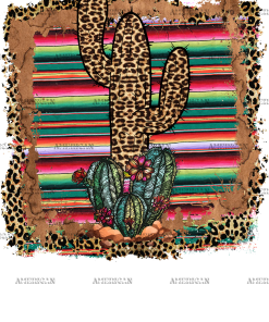 Cactus Serape Frame DTF Transfer
