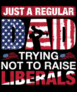 Just A Regular Dad Trying Not To Raise Liberals DTF Transfer