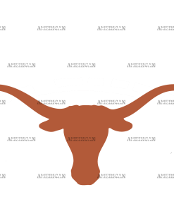 Longhorns Texas Orange DTF Transfer