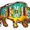 Texas Buffallo DTF Transfer