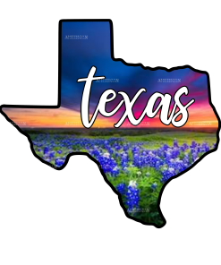 Texas Sunset Blue Bonnets DTF Transfer