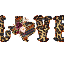 Love Texas DTF Transfer