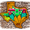 Texas Aesthetic DTF Transfer